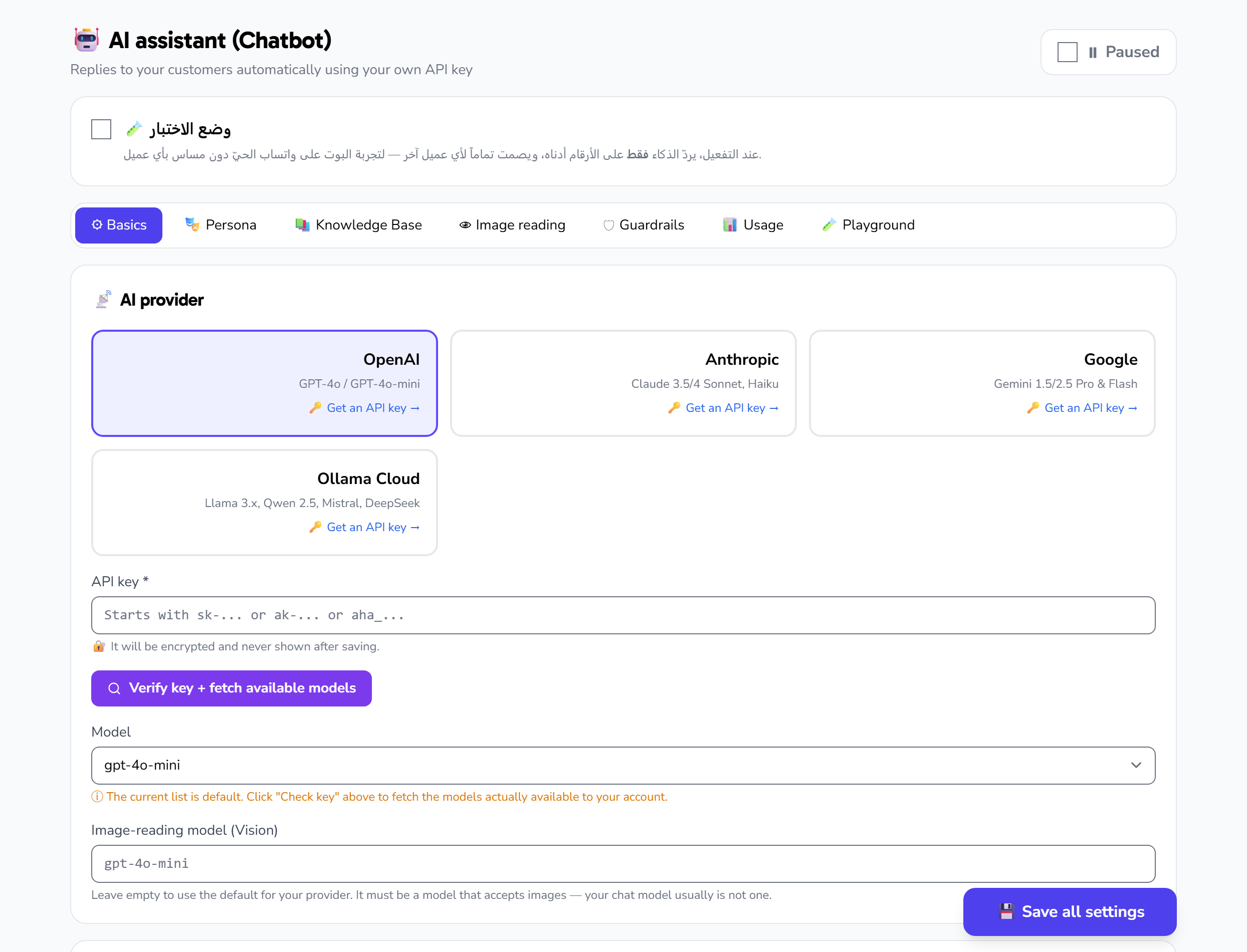 Choosing the AI provider, pasting the access key, and picking a model in the Basics tab
