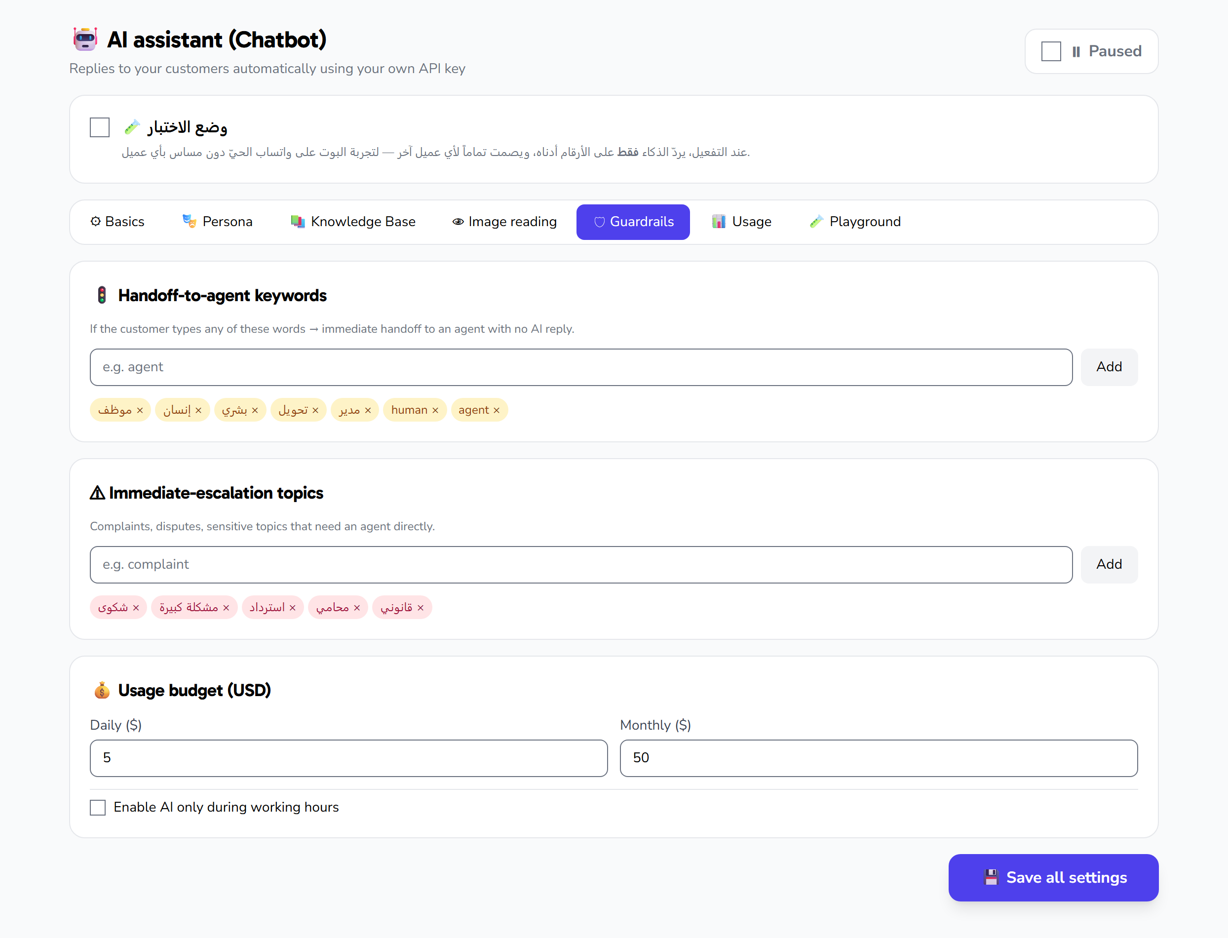 Handoff settings: handoff keywords, immediate-escalation topics, and the usage budget