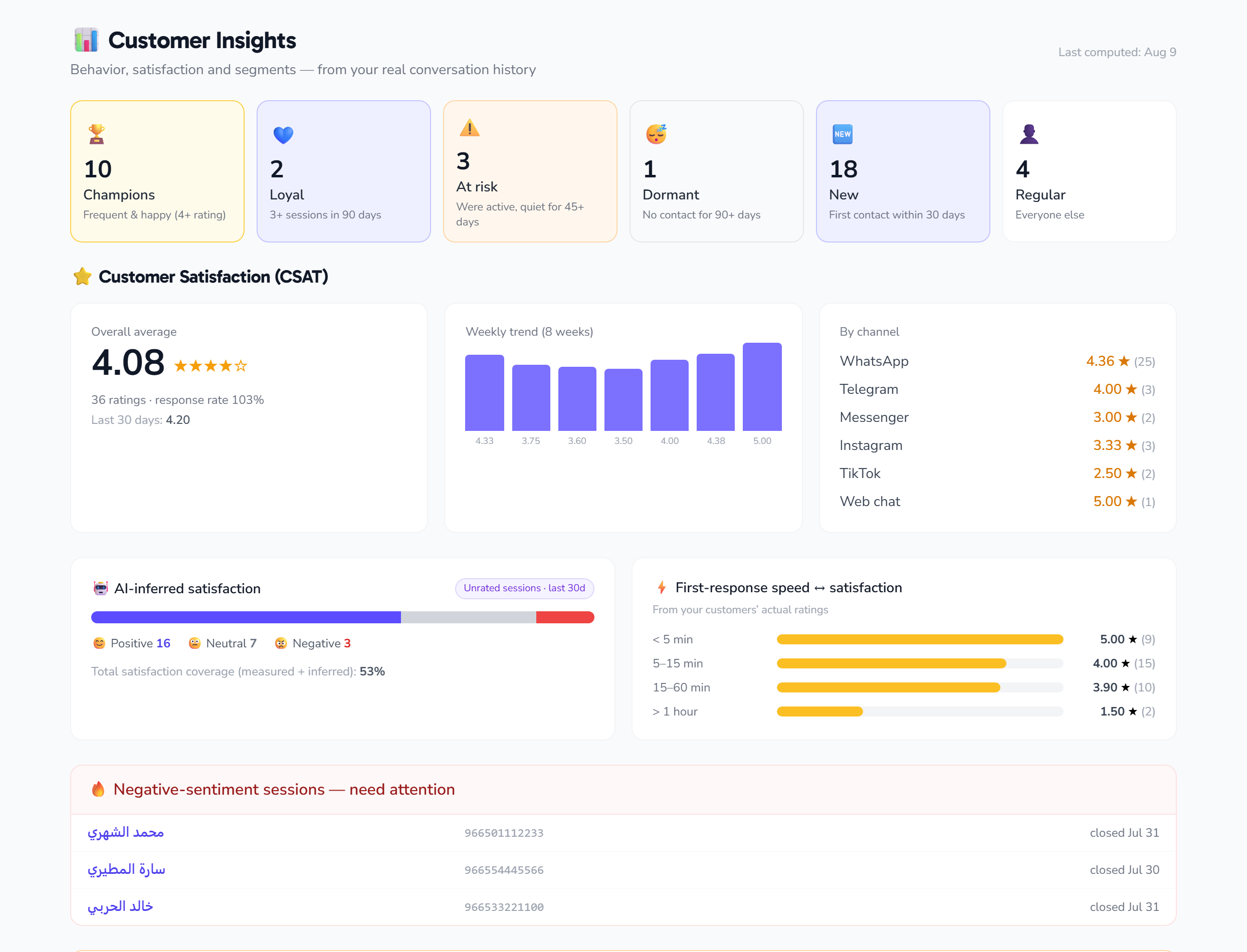 The Customer insights page — segments and satisfaction indicators